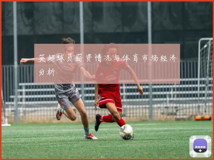 英超球员薪资情况与体育市场经济分析