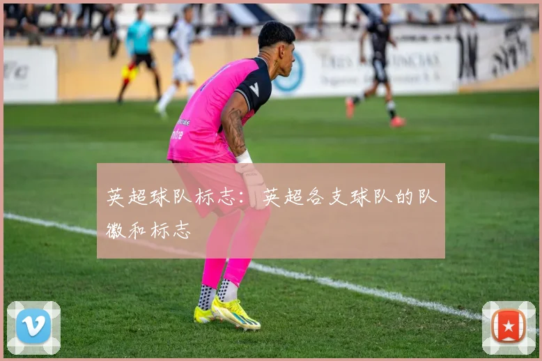 英超球队标志：英超各支球队的队徽和标志