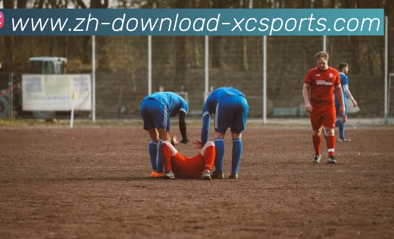 多媒体互动体验