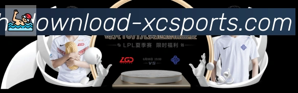 奖项证书